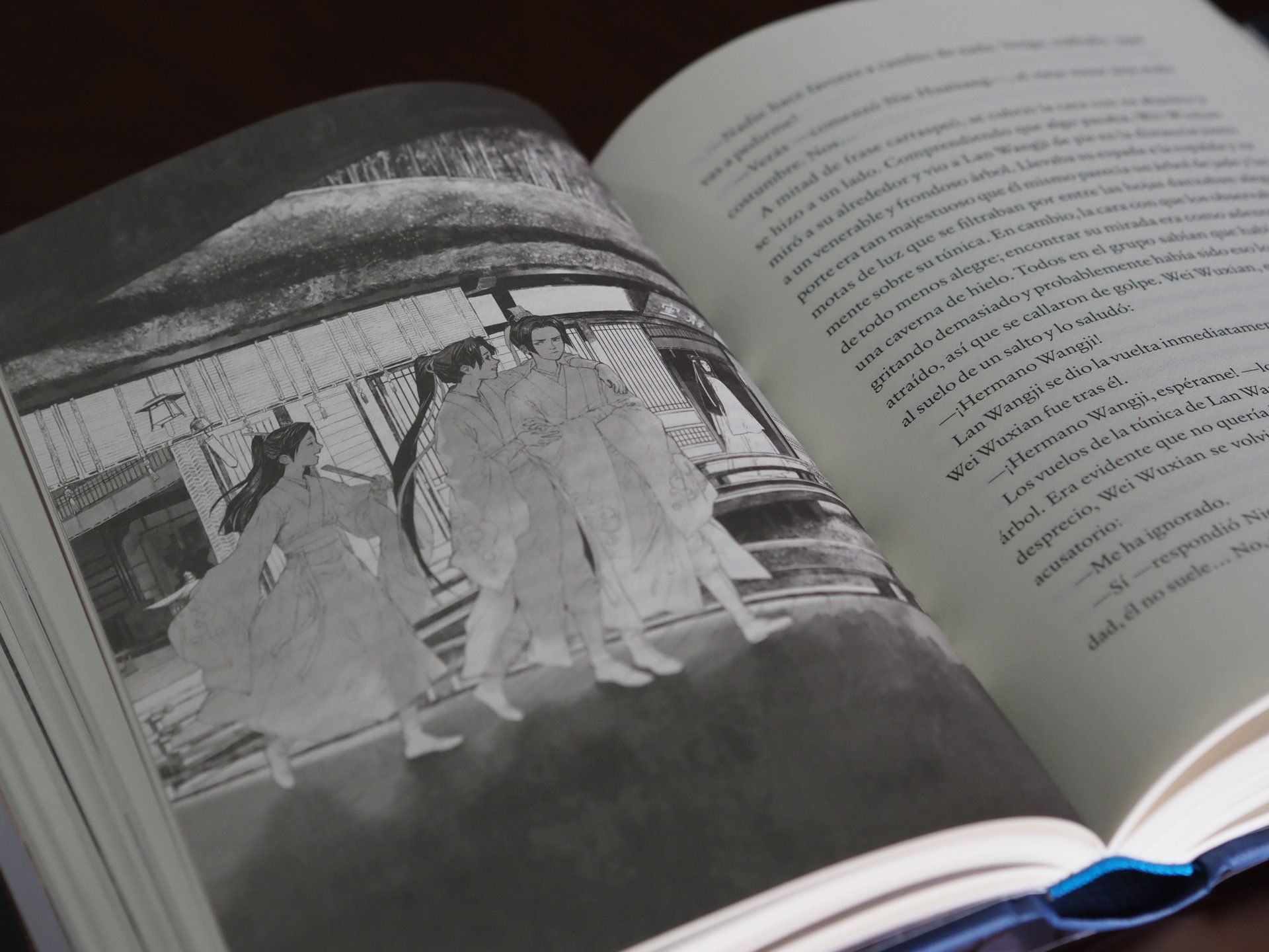 (Re)reading El Gran Maestro de la Cultivación Demoníaca
