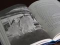 (Re)reading El Gran Maestro de la Cultivación Demoníaca